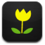 small yellow flowers icons