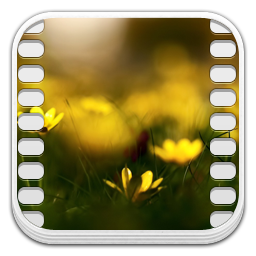 video file icon